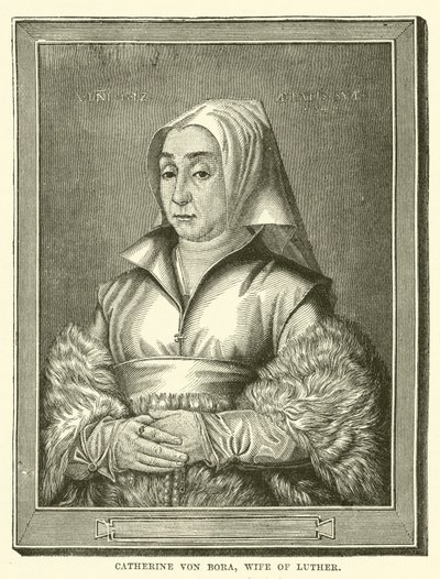 Catherine von Bora, Luther