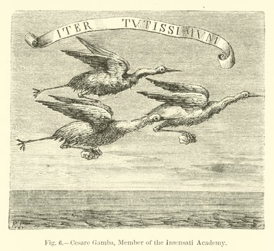 Cesare Gamba, Insensati Akademisi Üyesi by English School