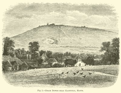 Clanfield, Hants yakınlarındaki Tebeşir Downs by English School