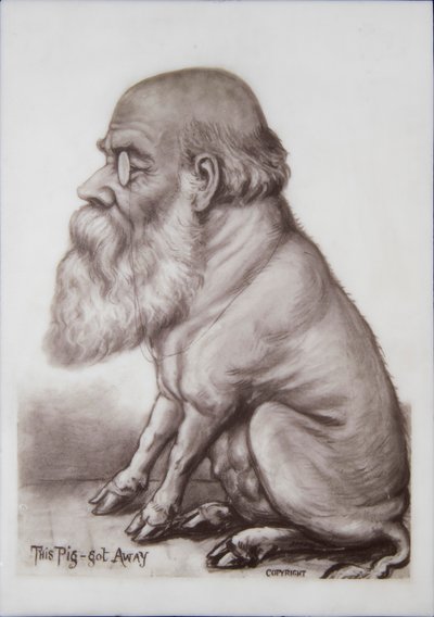 Charles Darwin Plaketi, c.1870 (seramik) by English School