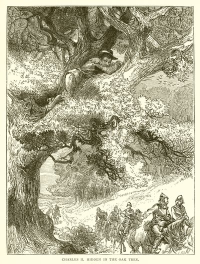 Meşe Ağacında Gizli Charles II by English School