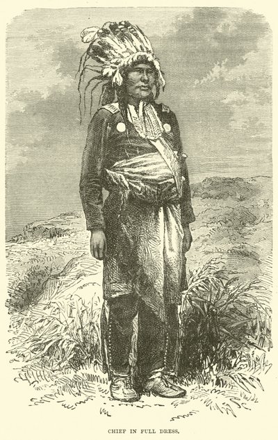 Tam elbiseli şef by English School