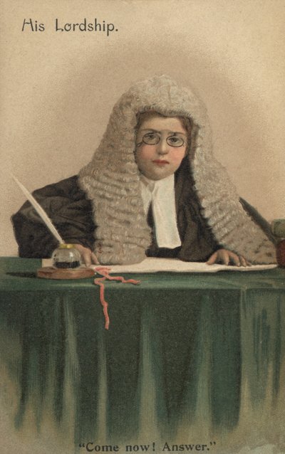 Yargıç gibi giyinmiş çocuk (renkli taş) by English School