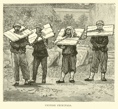 Çinli Suçlular by English School