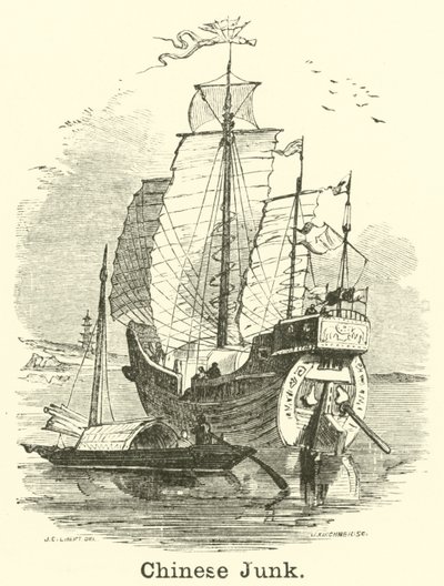 çin çöpü by English School