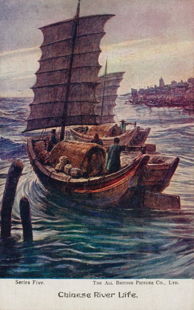 Çin nehir yaşamı (renkli taş) by English School
