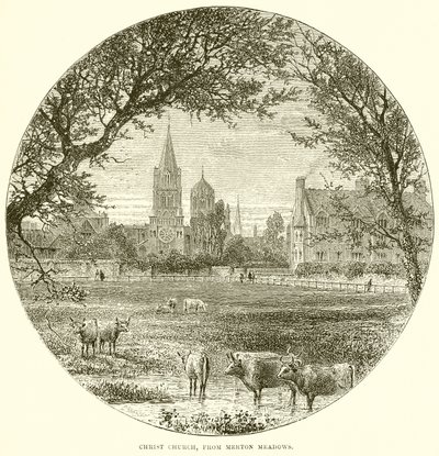 Merton Meadows