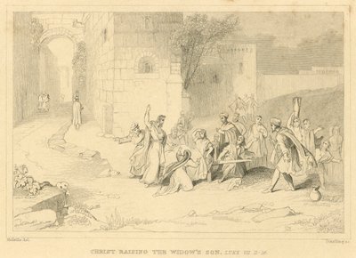 Mesih, dul kadının oğlu VII. by English School