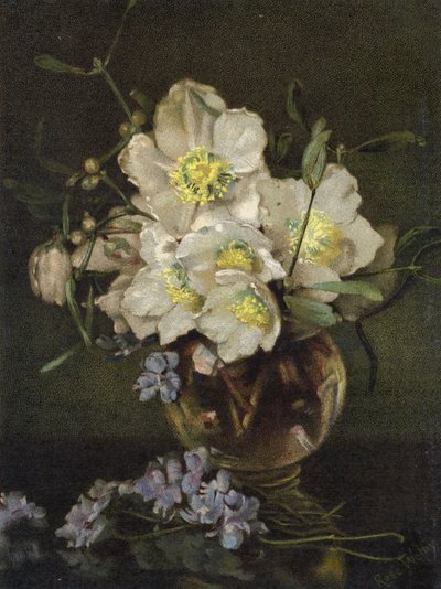 Noel Gülleri by English School