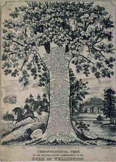 Wellington Dükü