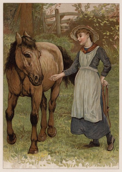 Zeki Dobbin (chromolitho) by English School