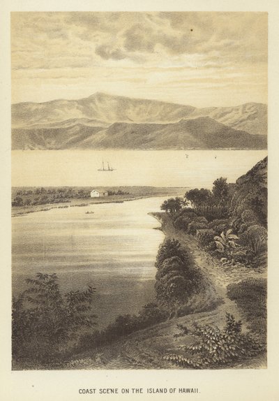 Hawaii Adası
