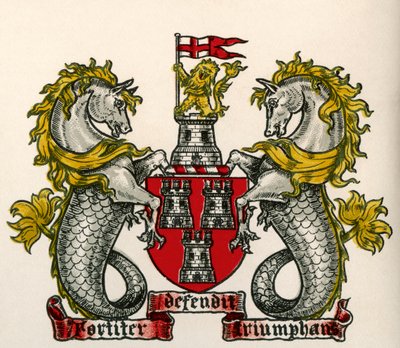 Arması, Newcastle-on-Tyne, İngiltere by English School