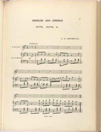 Joseph B Geoghegan
