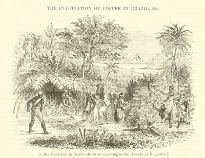 Brezilya