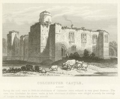 Colchester Kalesi, Essex (gravür) by English School