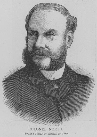 Albay Kuzey (gravür) by English School