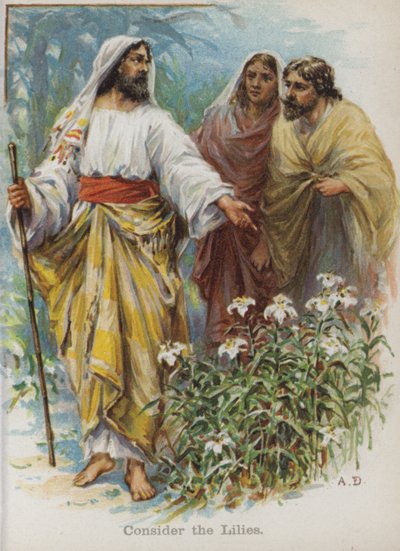 Zambakları düşünün (chromolitho) by English School