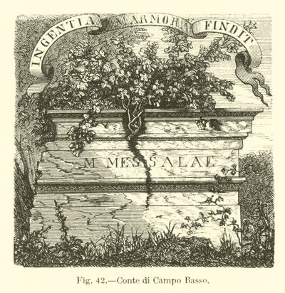 Campo Basso Kontu by English School