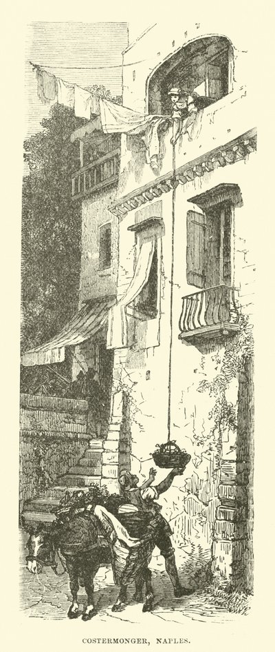 Satıcı, Napoli by English School