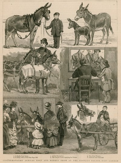 Doğu Londra