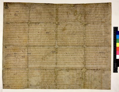 Pamuk Augustus ii. 38 f.1 Abingdon