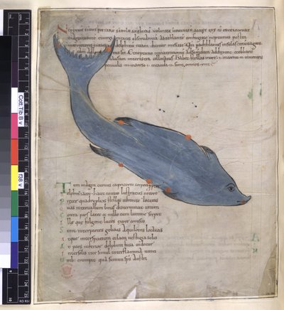 Cotton Tiberius B. V, Bölüm I fol.38v 