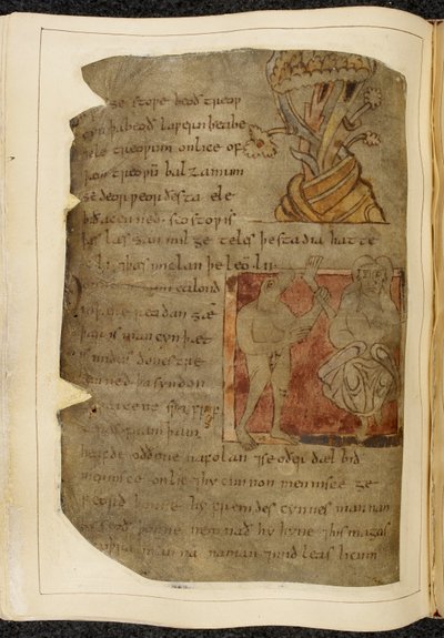 Cotton Vitellius A. XV f.103v, Balsamın yetiştiği bir ağaç; bir donestre, canavar başlı bir adam, solda bir insan bacağı ve ayağı tutan bir adam ve sağda bir kişi, Beowulf