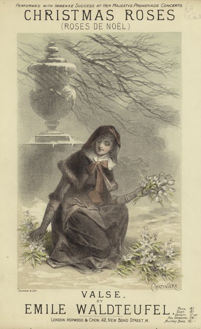 Noel Güllerinin Kapağı by English School