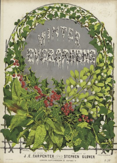 Winter Evergreens