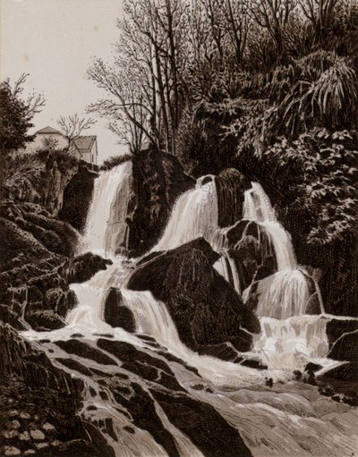 Crawfordsburn Şelalesi (taş) by English School