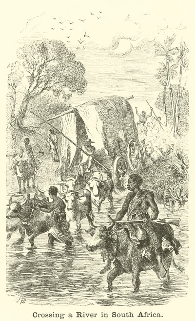 Güney Afrika