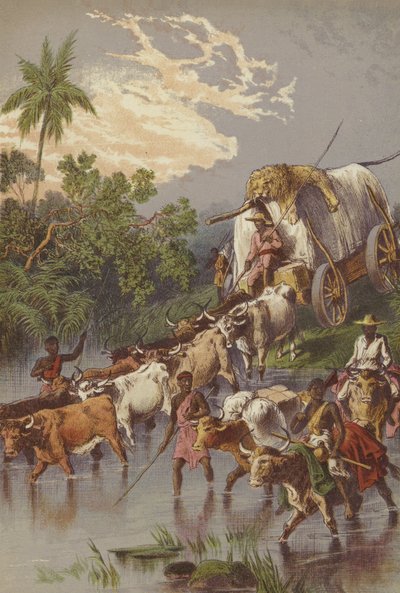 Güney Afrika