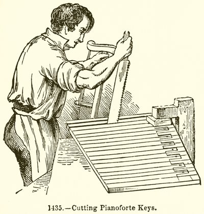 Piyano Tuşlarını Kesmek by English School