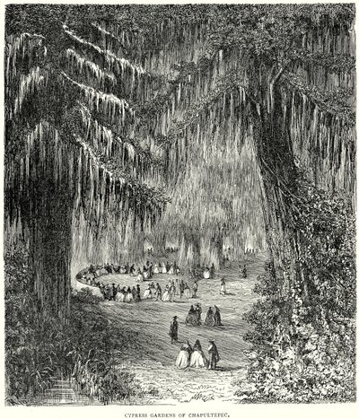 Chapultepec Selvi Bahçeleri (gravür) by English School