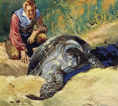 Darwin, Galapagos Adaları