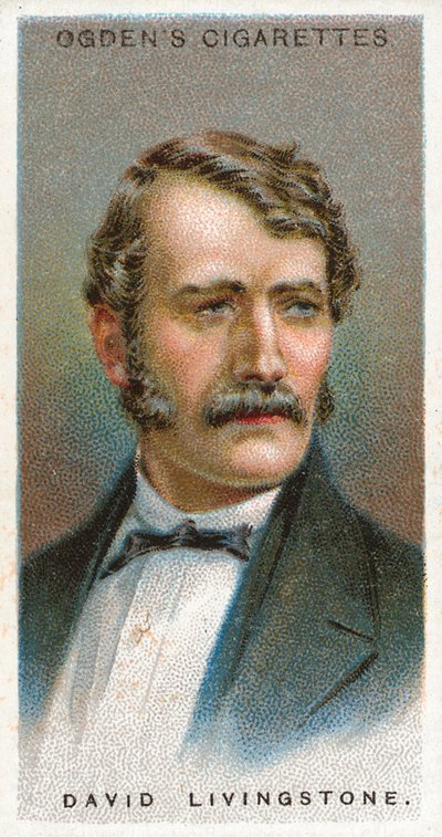 David Livingstone by English School