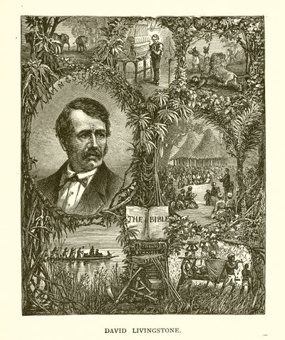 David Livingstone by English School