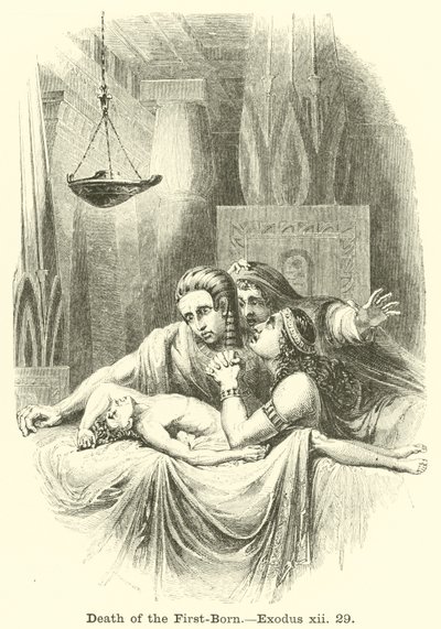İlk Doğanın Ölümü, Çıkış, xii, 29 by English School