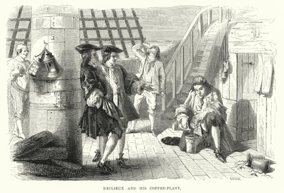 Declieux ve Kahve Bitkisi (gravür) by English School