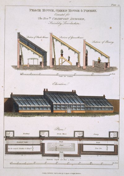 Peach House, Green House ve Pinery için Tasarım, 1806 by English School