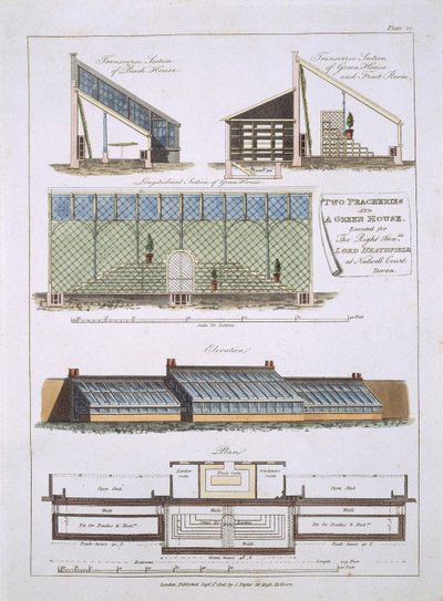 İki Şeftali ve Bir Sera için Tasarım, 1806 by English School