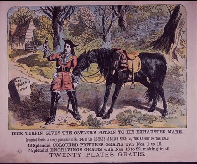 Dick Turpin, atı Black Bess ile York