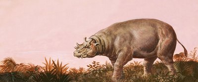 Dinozor by English School