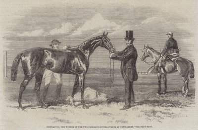 Diophantus, Newmarket