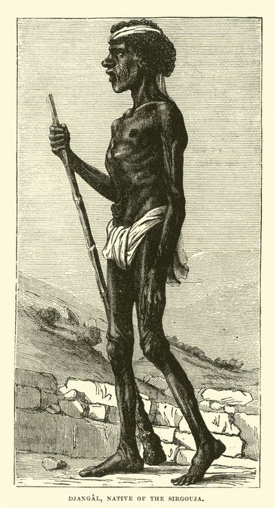 Djangal, Sirgouja