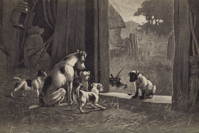 Köpek (kromolitho) by English School