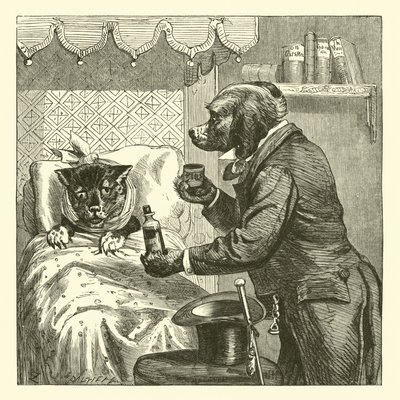 Hasta kediye ilaç veren köpek by English School