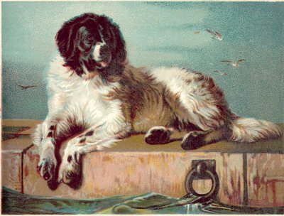 Deniz kenarında oturan köpek (chromolitho) by English School