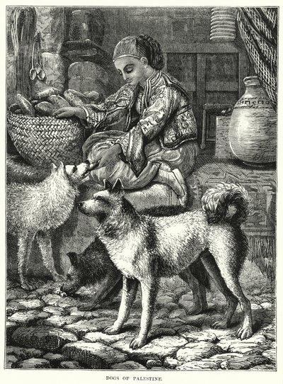 Filistin Köpekleri (gravür) by English School